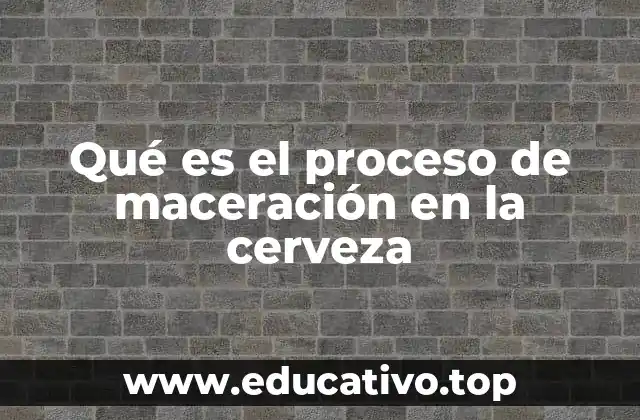 Qué es el proceso de maceración en la cerveza