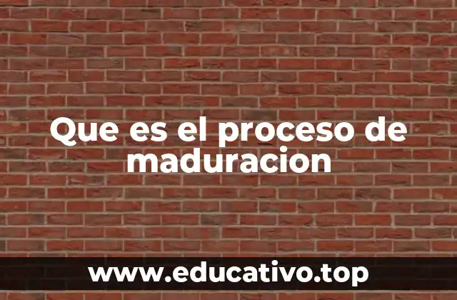 Que es el proceso de maduracion