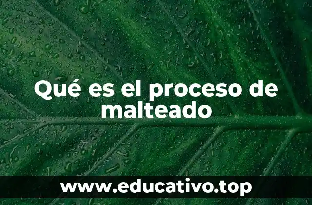 Qué es el proceso de malteado