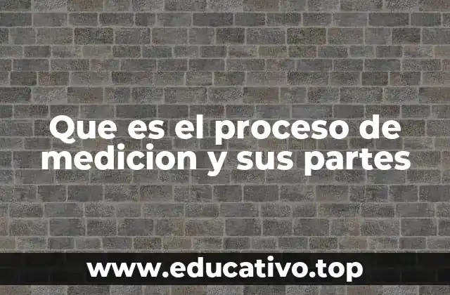 Que es el proceso de medicion y sus partes