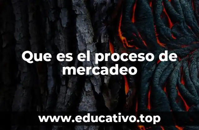 Que es el proceso de mercadeo