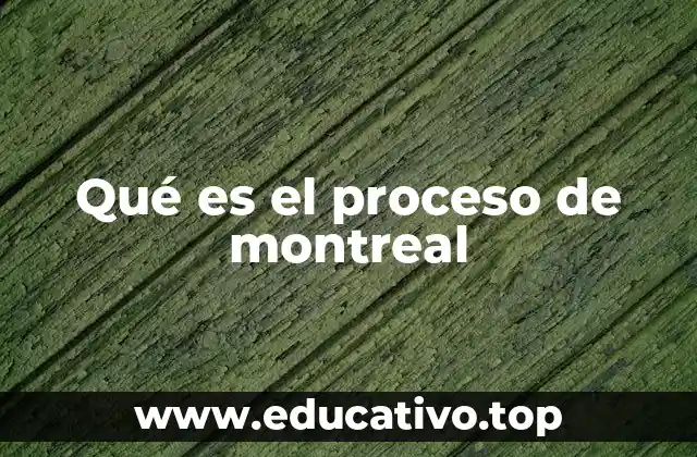 Qué es el proceso de montreal