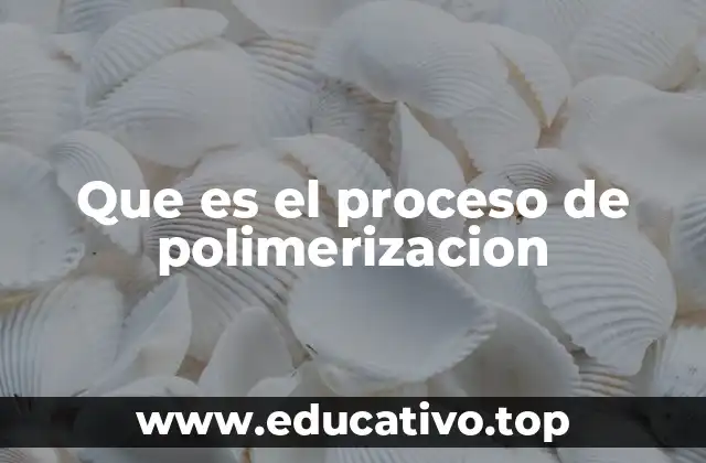 Que es el proceso de polimerizacion