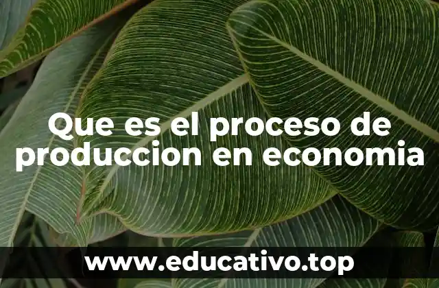 Que es el proceso de produccion en economia