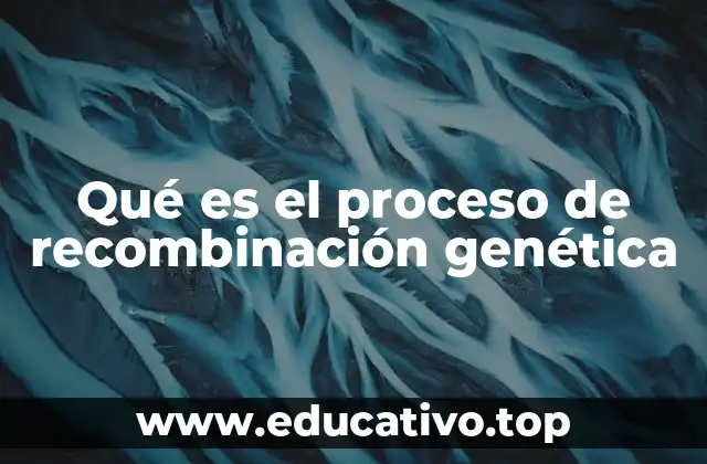El papel de la recombinación en la evolución y la genética