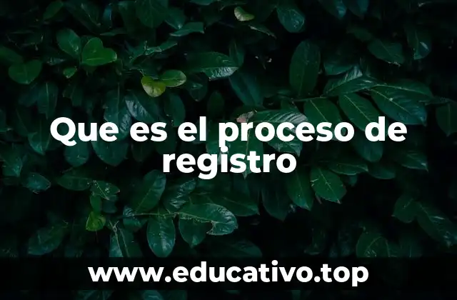 Que es el proceso de registro