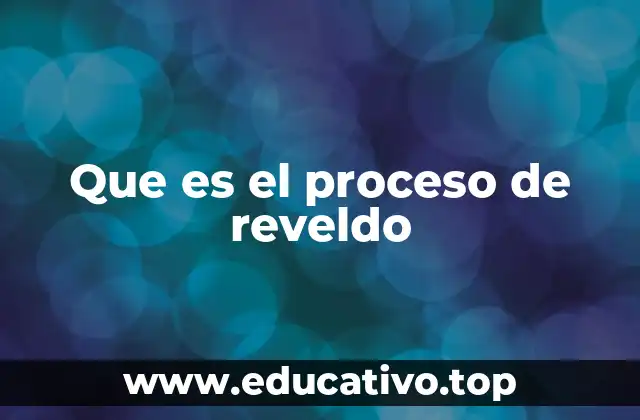 Que es el proceso de reveldo