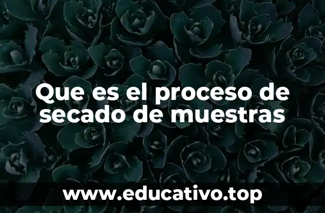 Que es el proceso de secado de muestras