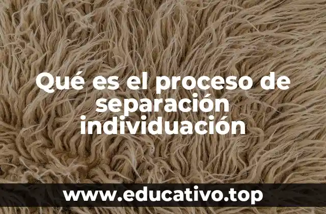 Qué es el proceso de separación individuación