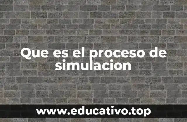 Que es el proceso de simulacion