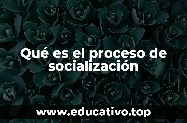 Qué es el proceso de socialización