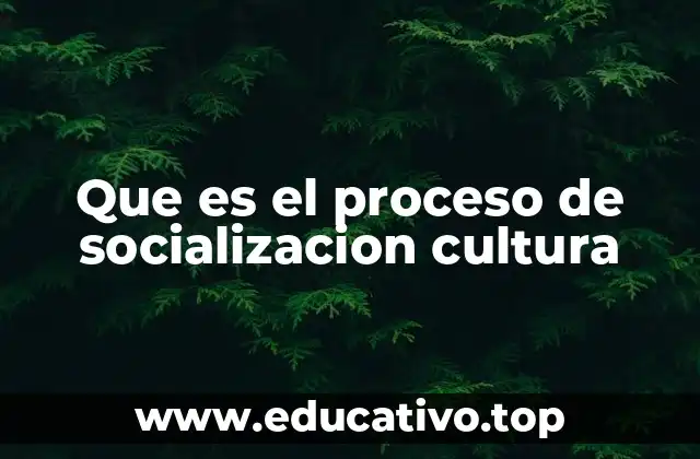 Que es el proceso de socializacion cultura