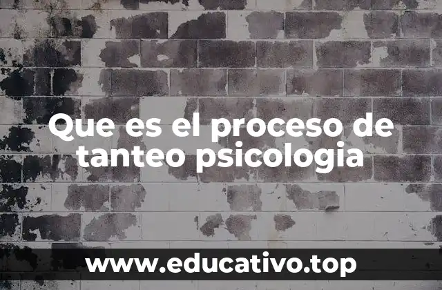 Que es el proceso de tanteo psicologia