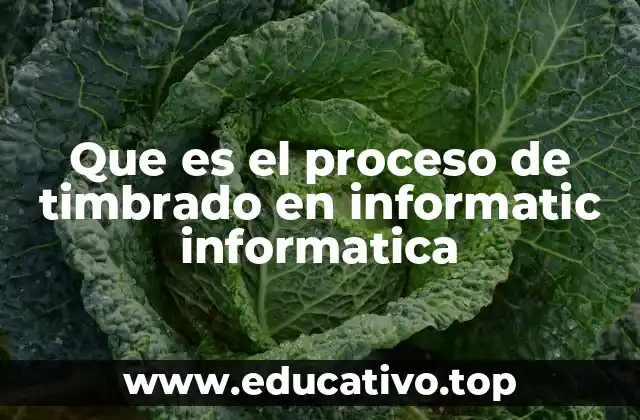 Que es el proceso de timbrado en informatic informatica