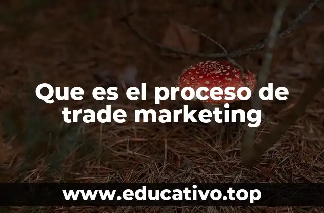 Que es el proceso de trade marketing