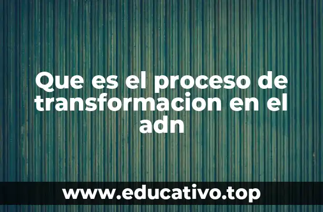 Que es el proceso de transformacion en el adn