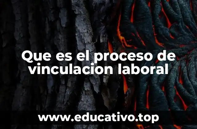 Que es el proceso de vinculacion laboral