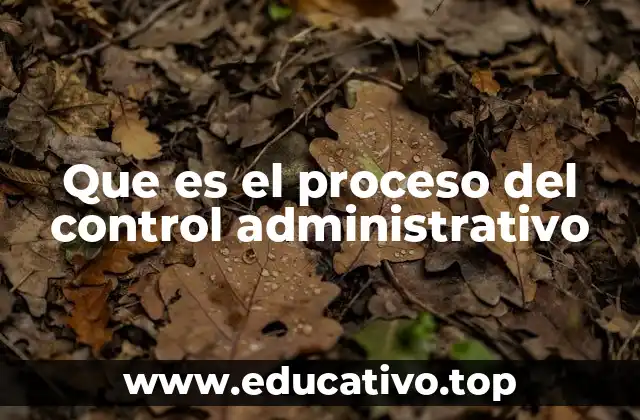 Que es el proceso del control administrativo
