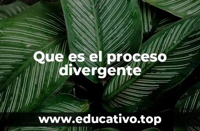Que es el proceso divergente