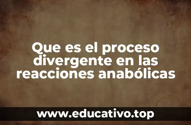 Que es el proceso divergente en las reacciones anabólicas