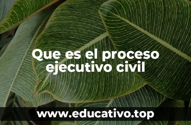 Que es el proceso ejecutivo civil