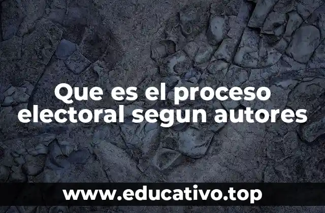 Que es el proceso electoral segun autores