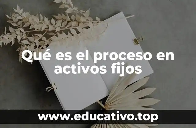 Qué es el proceso en activos fijos