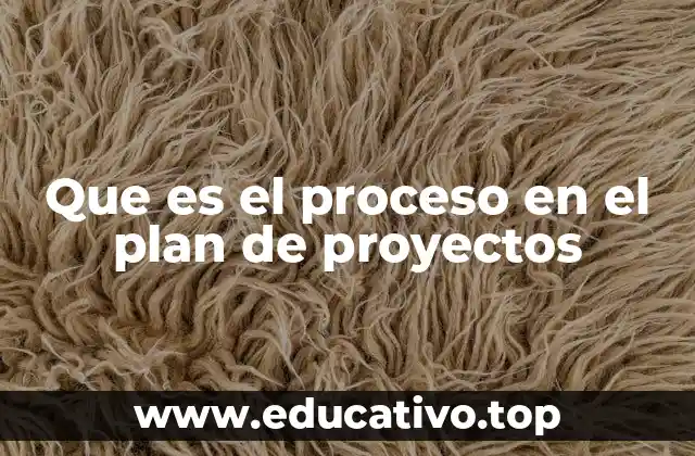 Que es el proceso en el plan de proyectos