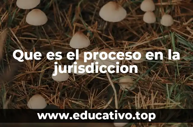 Que es el proceso en la jurisdiccion