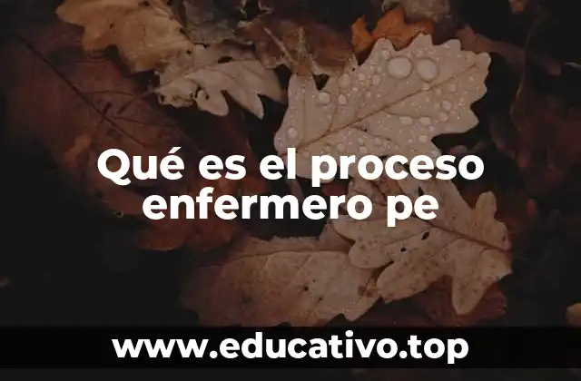 El enfoque estructurado de los cuidados de enfermería