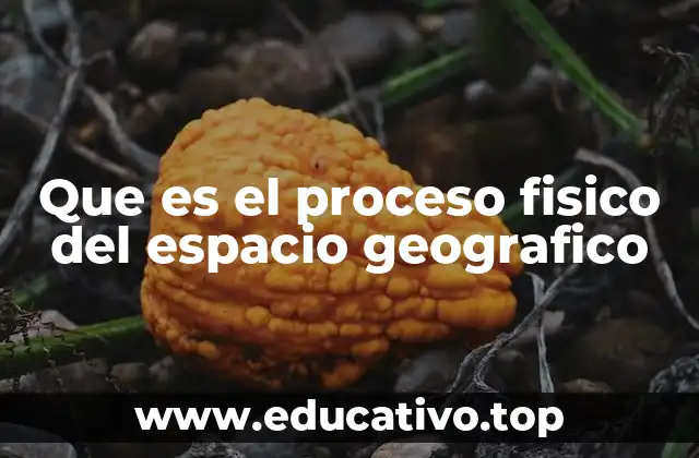 Que es el proceso fisico del espacio geografico