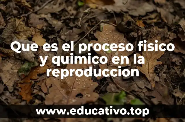 Que es el proceso fisico y quimico en la reproduccion