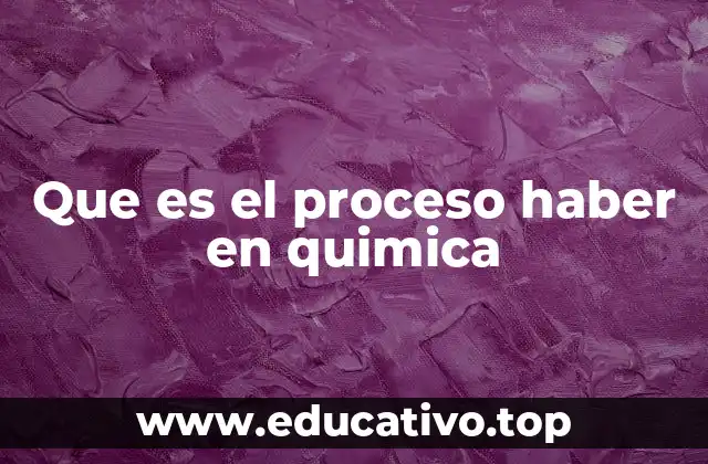 Que es el proceso haber en quimica