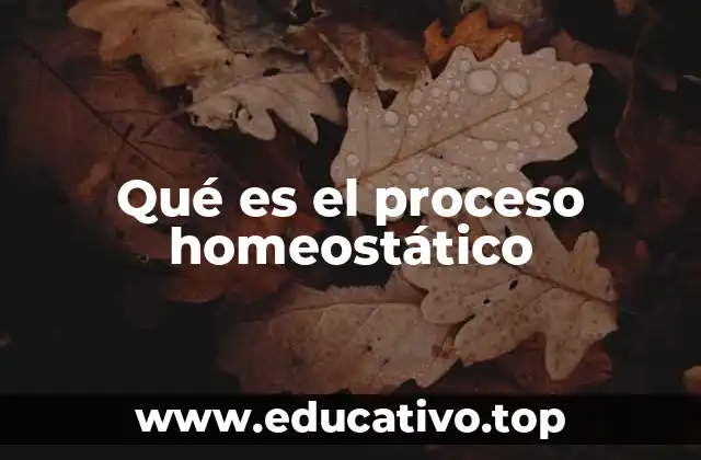 Qué es el proceso homeostático