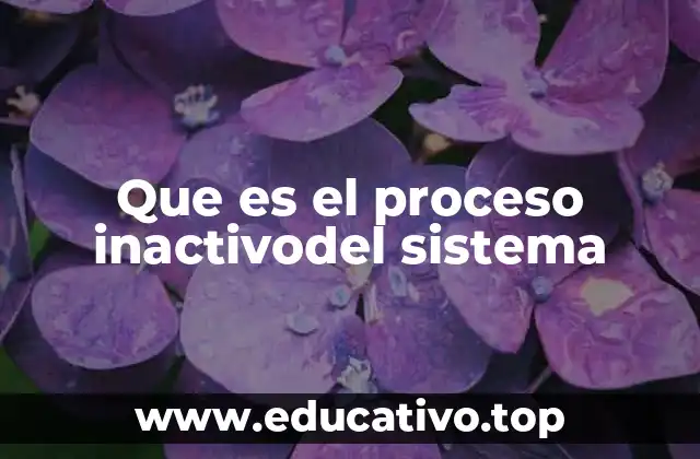 Que es el proceso inactivodel sistema
