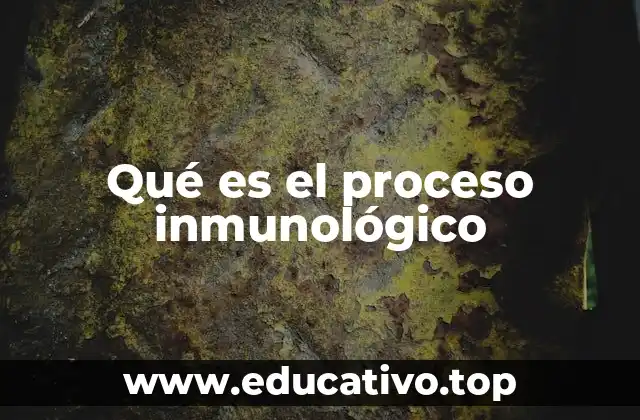 Qué es el proceso inmunológico
