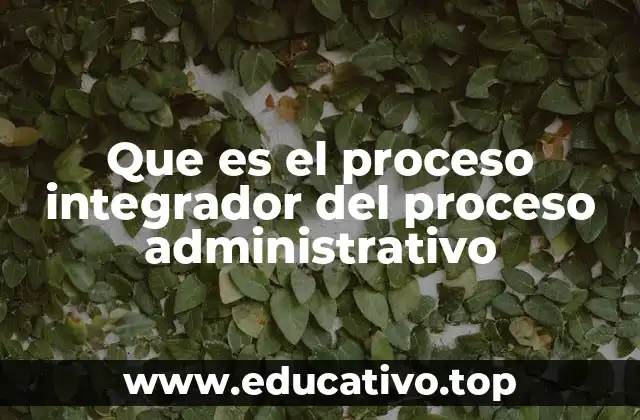 Que es el proceso integrador del proceso administrativo