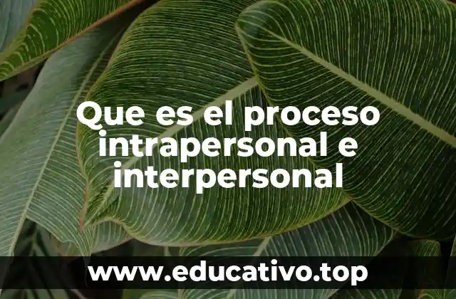 Que es el proceso intrapersonal e interpersonal