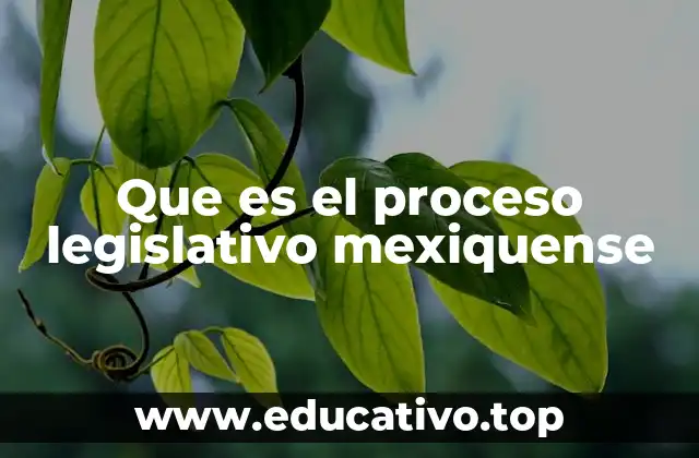 Que es el proceso legislativo mexiquense