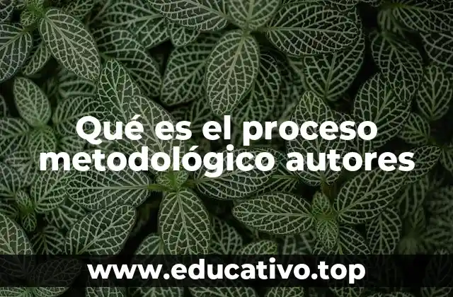 Qué es el proceso metodológico autores