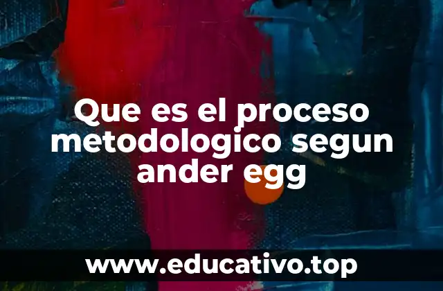 Que es el proceso metodologico segun ander egg