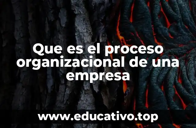 Que es el proceso organizacional de una empresa