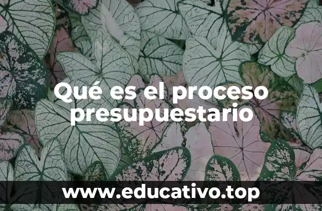 Qué es el proceso presupuestario