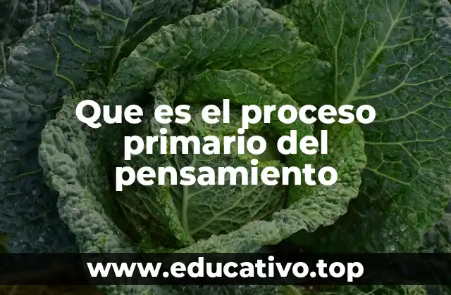 Que es el proceso primario del pensamiento