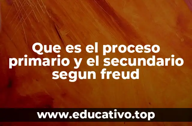 Que es el proceso primario y el secundario segun freud