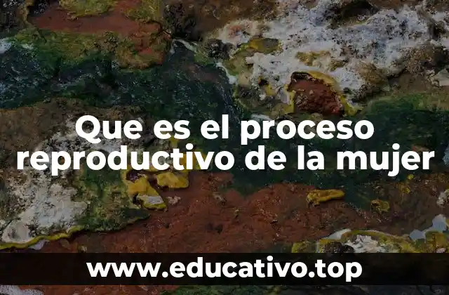 Que es el proceso reproductivo de la mujer