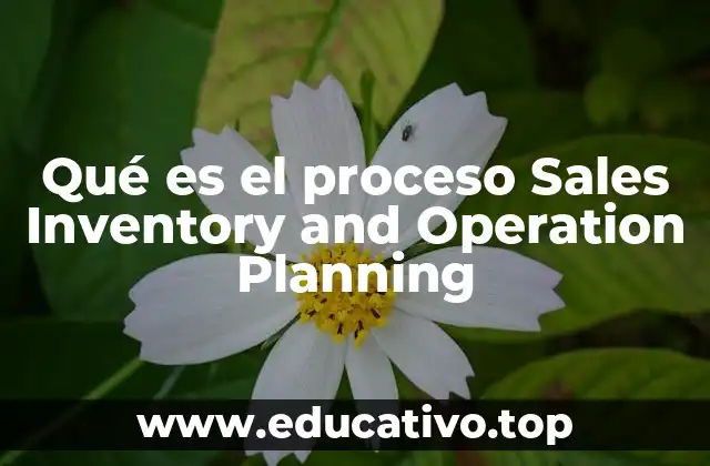 Qué es el proceso Sales Inventory and Operation Planning