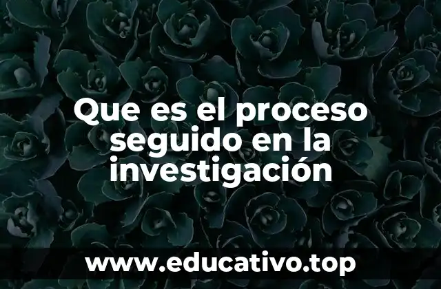 Que es el proceso seguido en la investigación