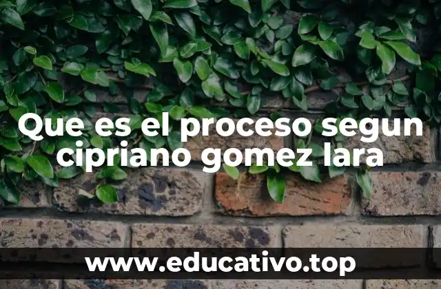 Que es el proceso segun cipriano gomez lara