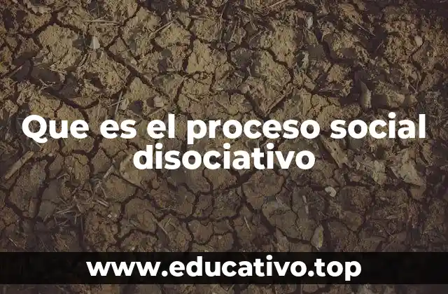 Que es el proceso social disociativo